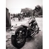 Harley Davidson Sportster XL ('04-'17) Burly Slammer Shocks - BLACK